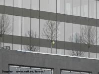 Imagine atasata: Openville - 2019.03.03 - 41.jpg
